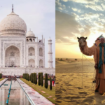 Domestic Tourism Travel Trade News