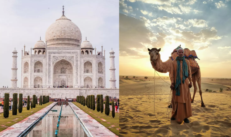 Domestic Tourism Travel Trade News