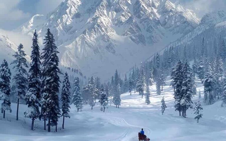 Kashmir is experiencing an unprecedented tourism boom