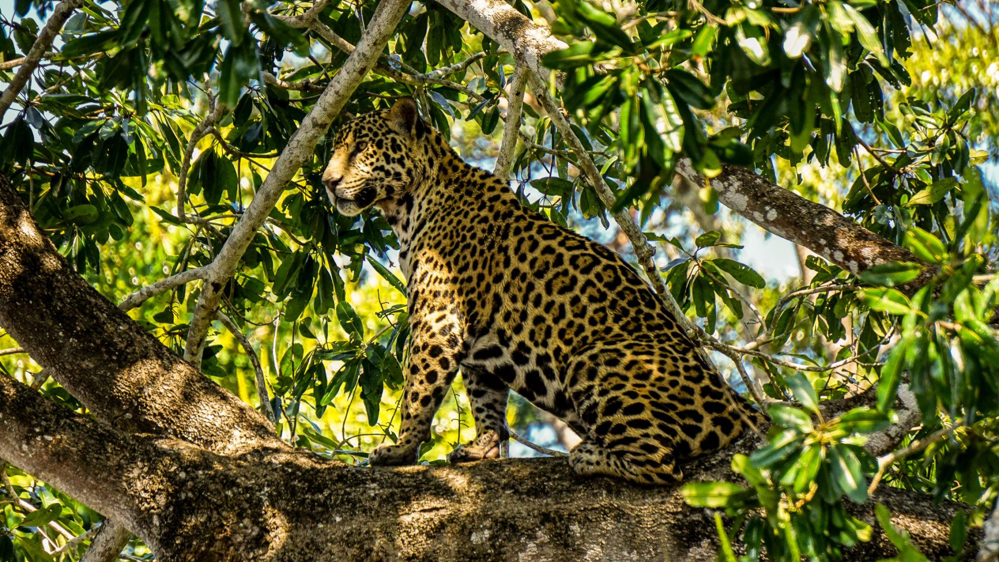 Brazil strengthens its position as a global eco-tourism destination