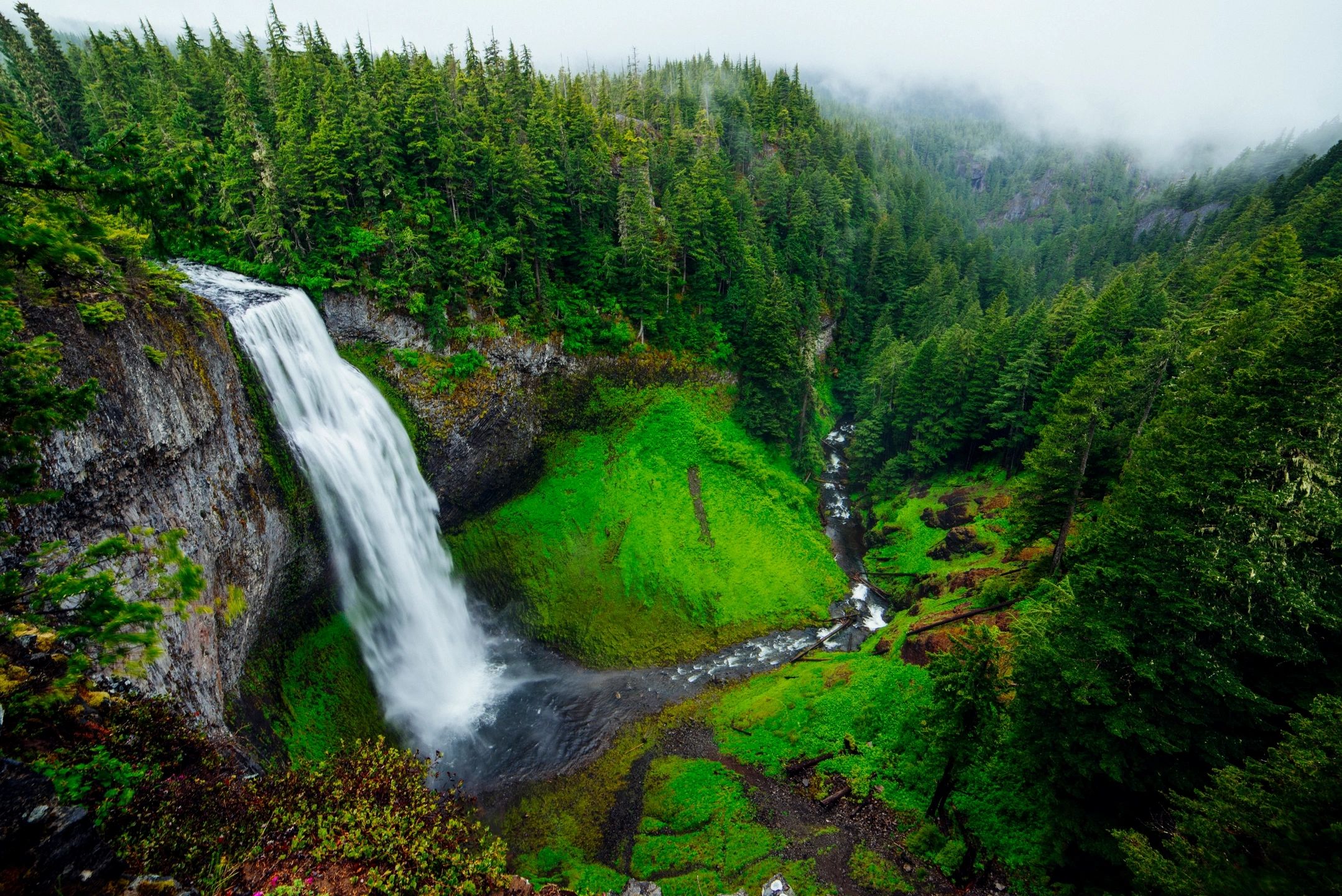Global tourism is bouncing back strong